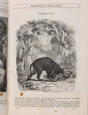 Живописная энциклопедия: Общеполезное чтение: Т. 1 [и единственный]. М.: тип. А. Семена, 1847.